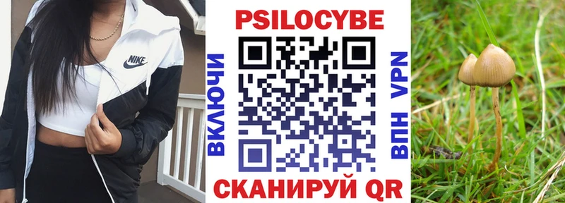 Псилоцибиновые грибы Cubensis  Заозёрный 